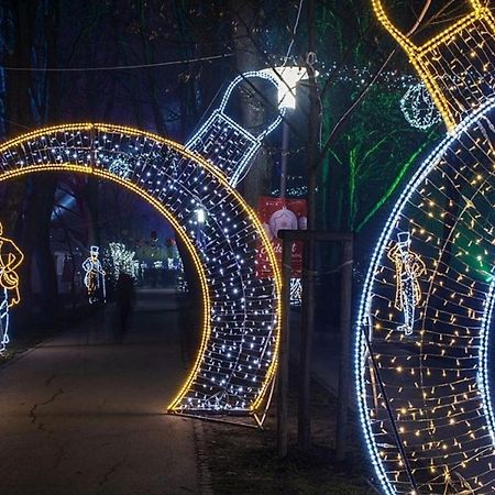 Apartman Anja 카를로바츠 외부 사진