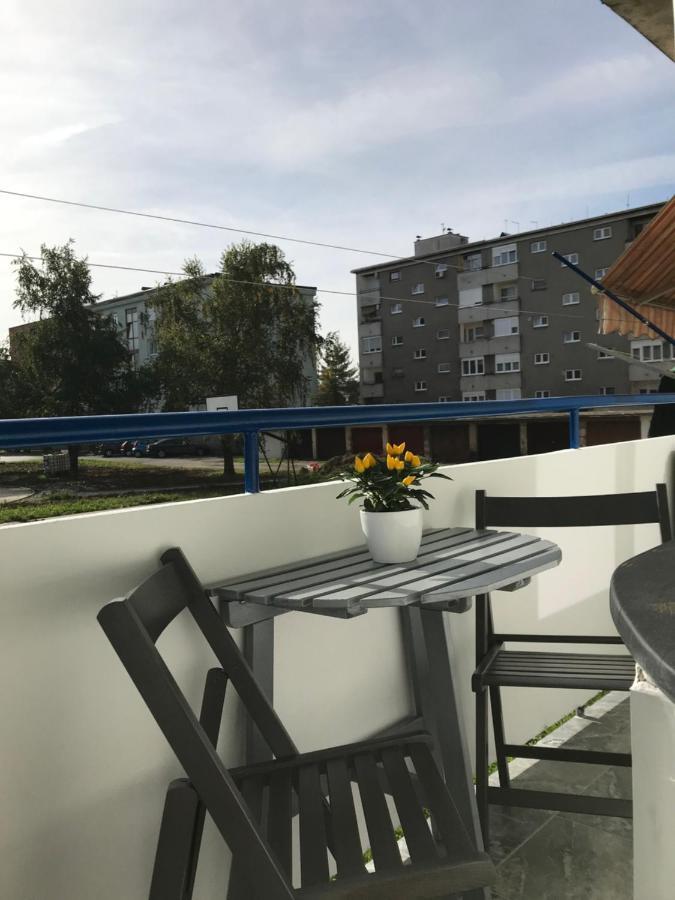 Apartman Anja 카를로바츠 외부 사진